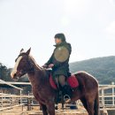 비슬 승마체험장 이미지