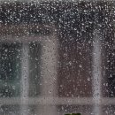 꿈꾸는 고양이 이미지