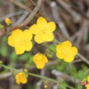 이시돌쉼터 이미지