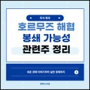 대성산업(주)대성주유소 | 이란 호르무즈 해협 봉쇄 가능성 수혜 관련주