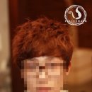 대신펠리체 이미지