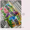 거북이 왕만두김밥 | 바다를 나는 11월