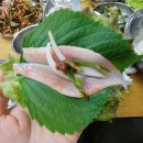 강화풍물시장 티스토리