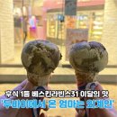 베스킨라빈스대송