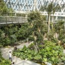 서울식물원 이미지