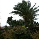 제주엘펜션 이미지