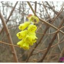 산유화농장 이미지