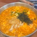 증평동물병원 | 증평 맛집 브라운면 생면국수, 김초밥 부산30년 전통 (구)풍림생칼국수 내돈내산후기