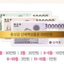 요기당 이미지