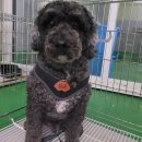 수리산로 이미지