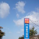 대일조명