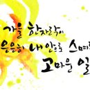 무제 이미지
