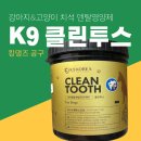 덴탈K | K9 클린투스- 구매 후기(킹댕즈 공구) | 강아지 치석제거·입냄새 개선 덴탈 영양제 추천