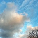 용머리약국 이미지