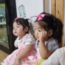 오감ㅡ발레리나 발레리노 이미지