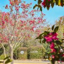 제주뮤지엄컴플렉스(주) | 제주 오설록 티 뮤지엄 국수 제주도 녹차밭 서귀포 여행 가볼만한곳