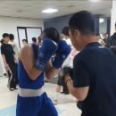 김태규복싱클럽 네이버블로그