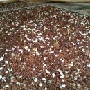 신가네농장 이미지