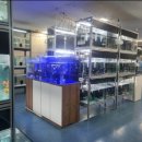 젊은열대어 이미지