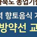 닥터.약선해독