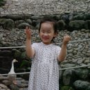 통통공주
