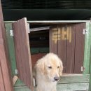 루비노펜션 이미지