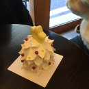 연초부르스 | 연초 일상..