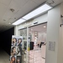 돌마로90번길 | [분당] 미금미용실 에이치레이블 하은쌤한테 레이어드펌 후기