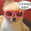 멋쟁이구제의류 이미지