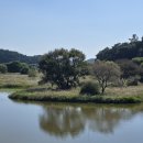 창녕 우포늪 이미지