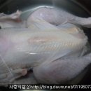 용궁해신탕 이미지