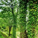 무궁화오토캠핑장 이미지