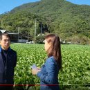 박종호 농장 이미지