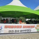 연천 율무축제