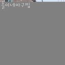 솔이네아구찜