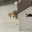 와와떡볶이 2호점 | 평범한 상암동 직장인 일상 (인데 집들이를 곁들인..) 스압주의스압주의스압주의