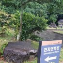 새로나특산품