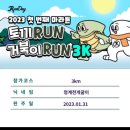 [마라톤 도전] 챌린지레이스, 런데이마라톤 가~자! 달리기 참고 영상 + 런닝장갑 내돈내산 후기
