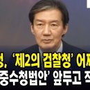 조국 제2검찰청 분노치민다 이미지