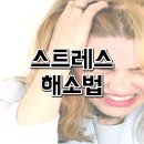 주식회사 단톡 이미지