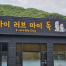 아이러브 독 이미지