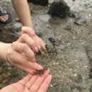 느티나무요정들 펜션 이미지