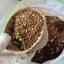 보들농장 이미지