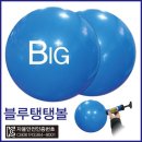트리수 이미지