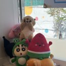 진심왕돈까스강북 이미지