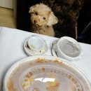 푸른바다찜탕 금촌점 | 해산물 총집합! 푸른바다찜탕 해물찜