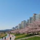 김창완밴드 - ’Seventy’ ...그대에게 줄 수 있는 내 사랑이 얼마일까 이미지