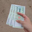 고려가든 | 2025 포천 한탄강 봄 가든 페스타 완전 정복! 입장료부터 맛집까지 솔직 후기