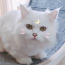 달려라 먹깨비 네이버블로그