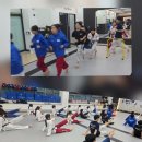 티앤티태권도장 이미지